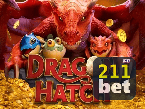 211BET PIX instantâneo Brasil - Depósito e saque em minutos 24/7